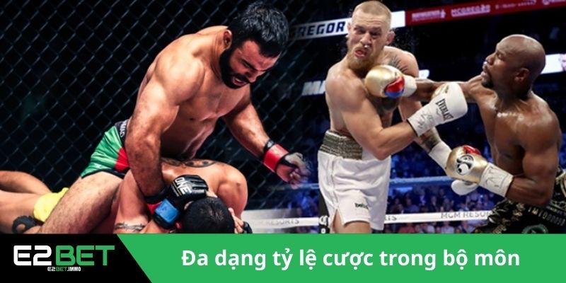 Cược Quyền Anh E2BET - Bí Quyết Chiến Thắng Thể Thao Đối Kháng