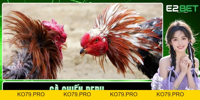 Tin Tức - E2BET 2026 Tin Tức - E2BET 2026