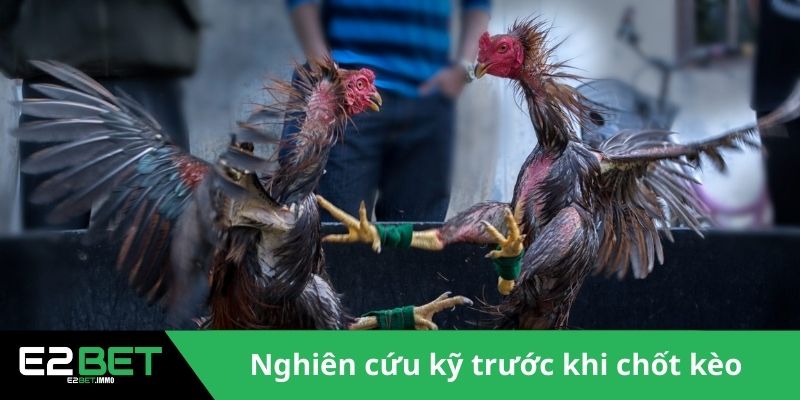 Đá Gà Cựa Sắt Thomo - Trận Chiến Rực Lửa Tại Đấu Trường Tại E2BET Đá Gà Cựa Sắt Thomo - Trận Chiến Rực Lửa Tại Đấu Trường Tại E2BET