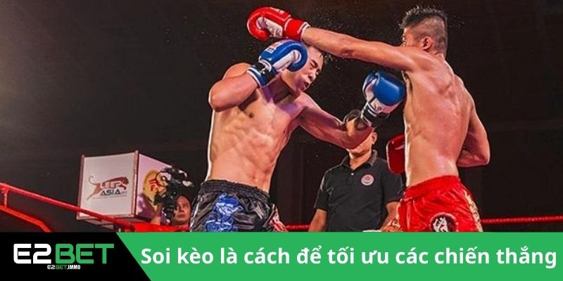 Cược Quyền Anh E2BET - Bí Quyết Chiến Thắng Thể Thao Đối Kháng