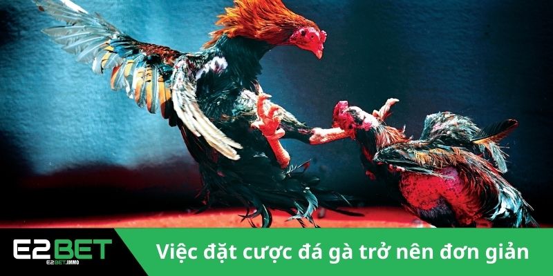 Đá Gà E2BET - Sân Chơi Kịch Tính Và Minh Bạch Cho Bạn Đá Gà E2BET - Sân Chơi Kịch Tính Và Minh Bạch Cho Bạn